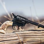 Black revolver with an ivory-colored grip engraved with a longhorn steer head, resting on a weathered wooden log in a dry, outdoor setting