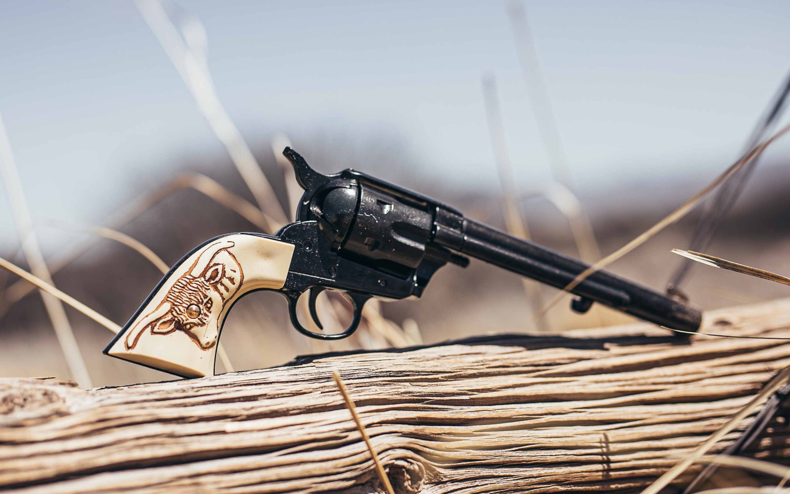 Black revolver with an ivory-colored grip engraved with a longhorn steer head, resting on a weathered wooden log in a dry, outdoor setting