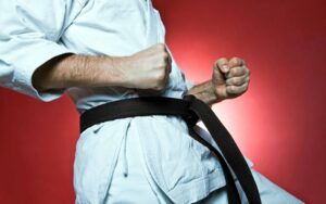 Martial artist demonstrating a karate stance, wearing a black belt, with fists clenched against a red background, symbolizing discipline and skill in martial arts training.