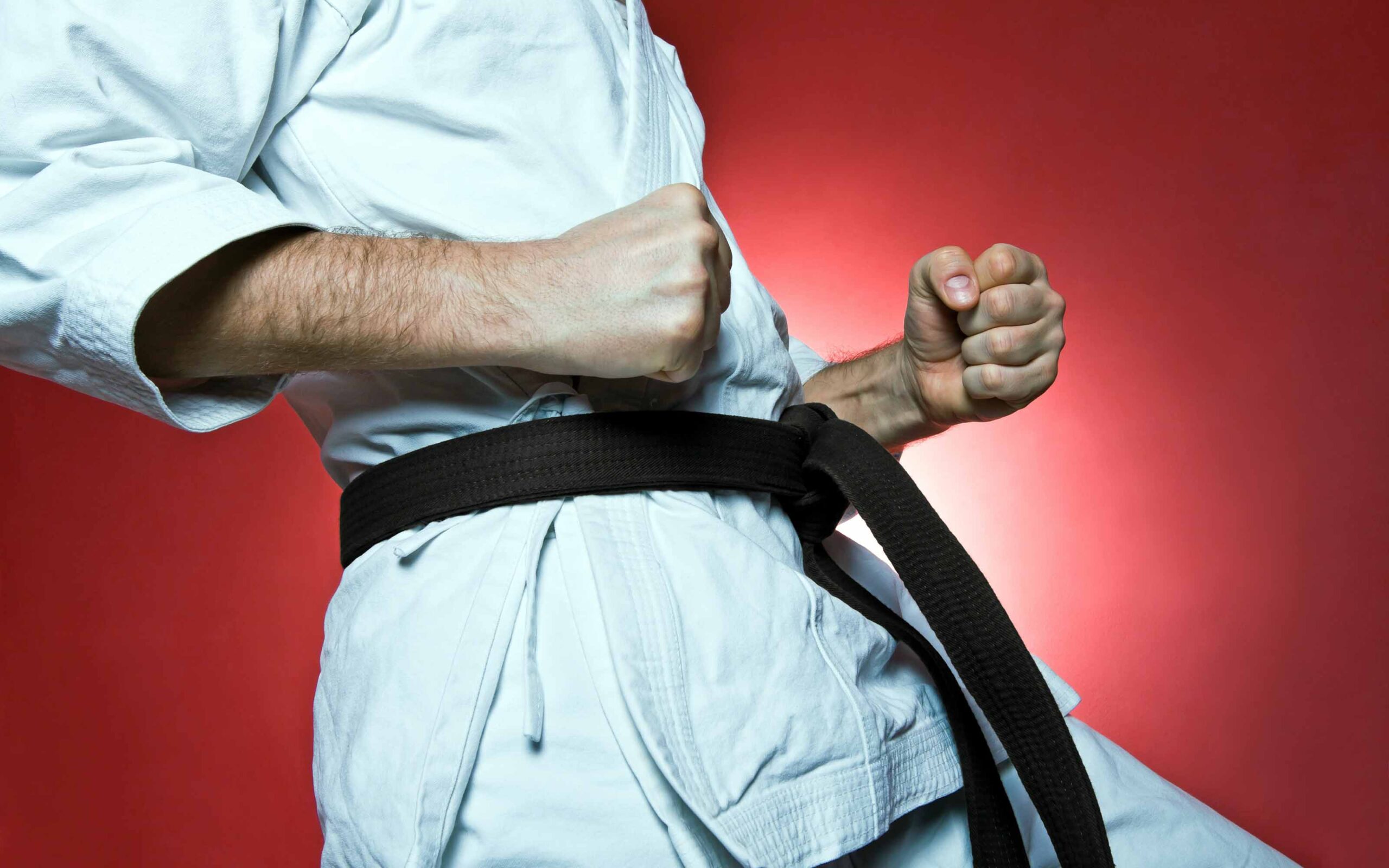A martial artist with a black belt, wearing a white gi, holds a disciplined fighting stance with clenched fists against a red background.